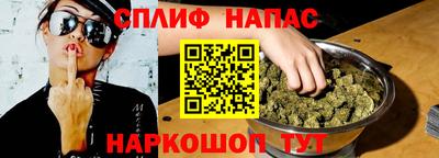 индика Будённовск