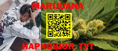 индика Будённовск