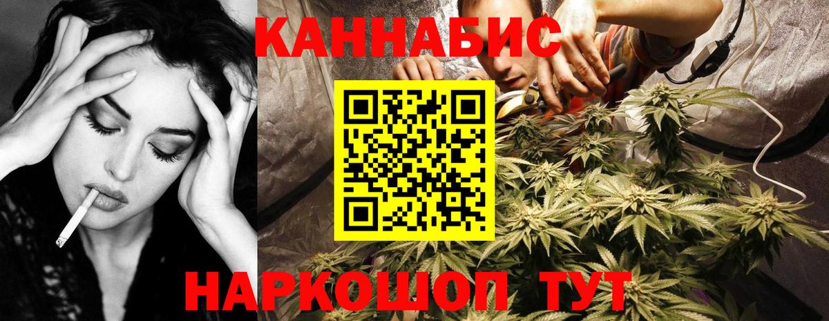 Шишки марихуана план Сергиев Посад